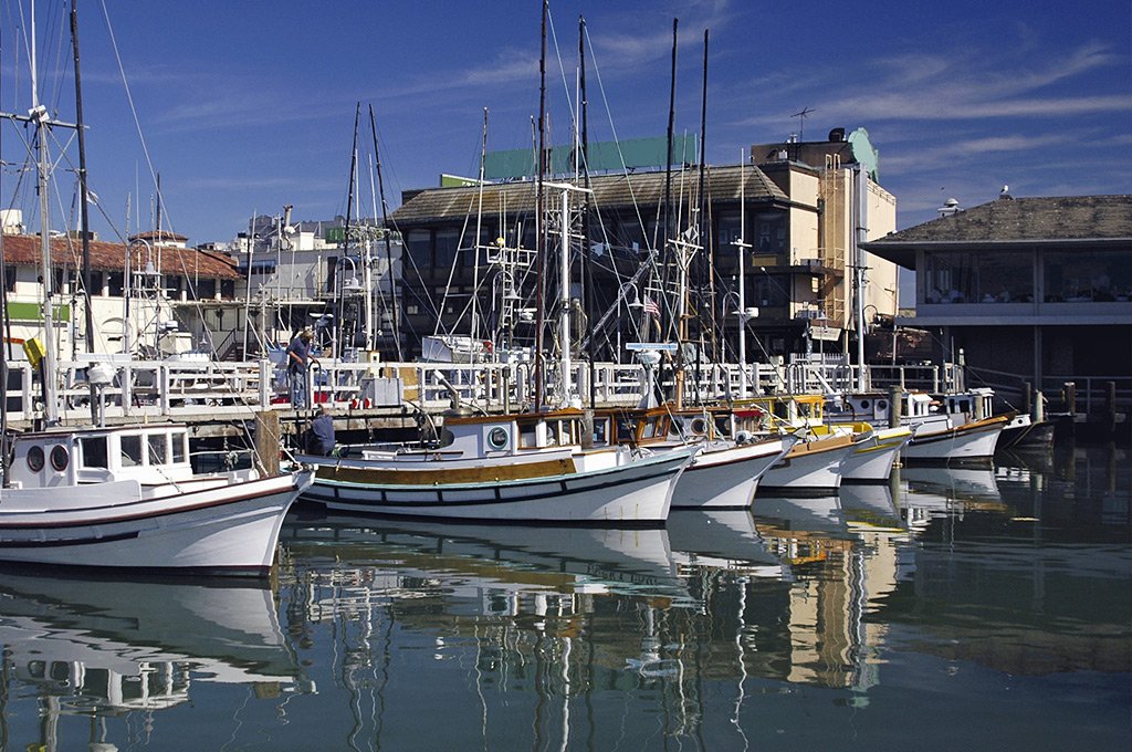 San Francisco Pier 39 Marina Boats